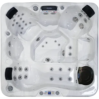 Avalon EC-849L hot tubs for sale in Nantes
