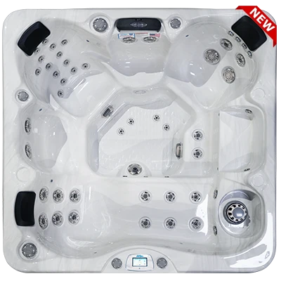 Avalon-X EC-849LX hot tubs for sale in Nantes