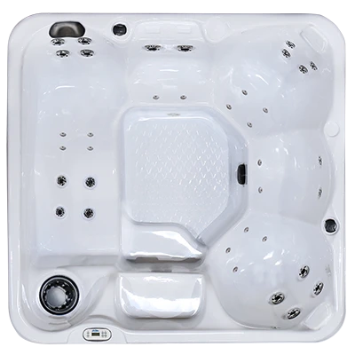 Hawaiian PZ-636L hot tubs for sale in Nantes
